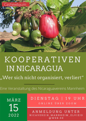 KOOPERATIVEN IN NICARAGUA: „WER SICH NICHT ORGANISIERT, VERLIERT“ - Digital