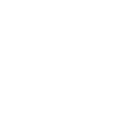 Spitzel „V-Personen“ – „Spycops“ Typologie – Demaskierung